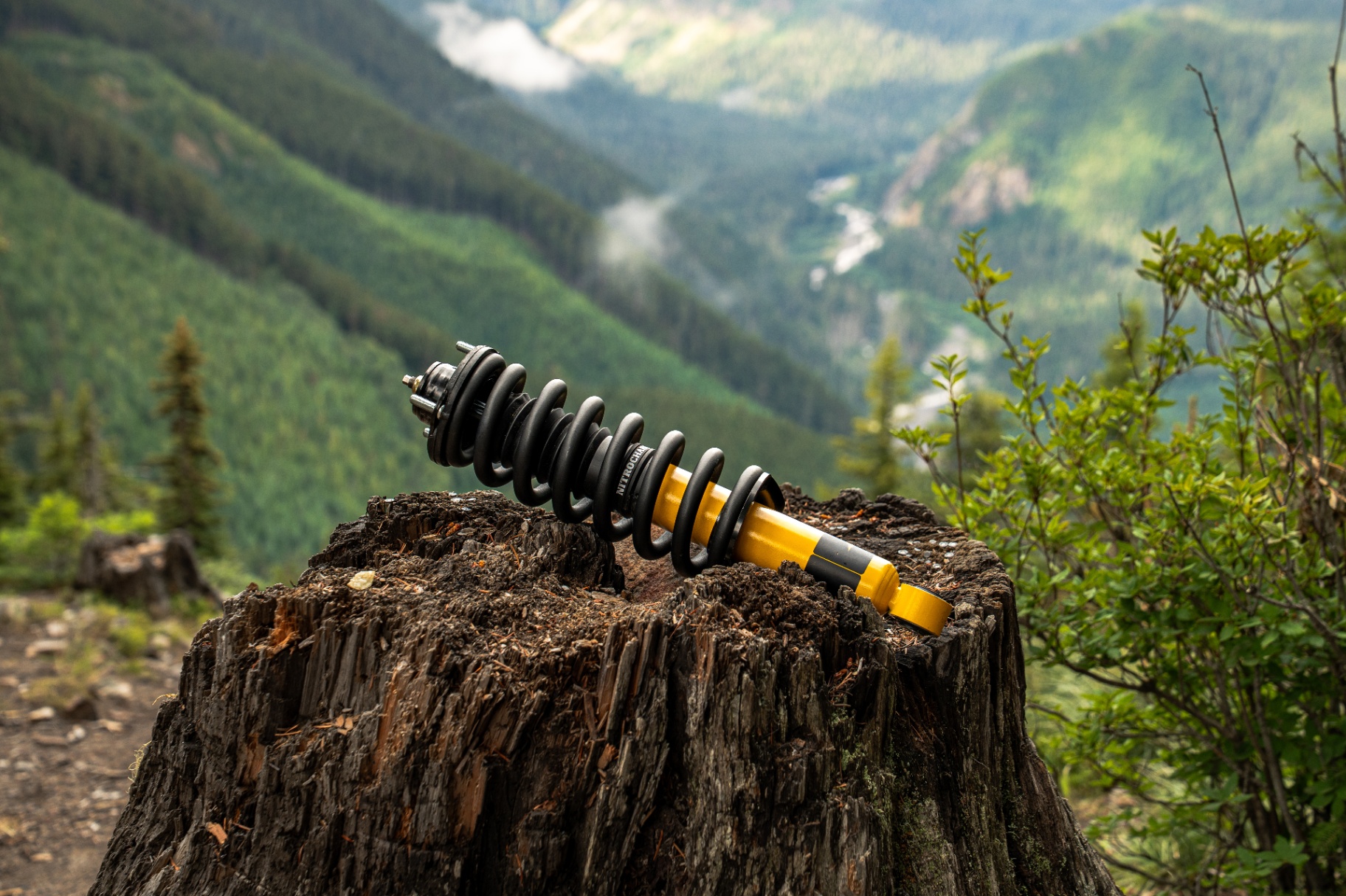 Nitrocharger coilover shock product shot on stump with mountain valley backdrop